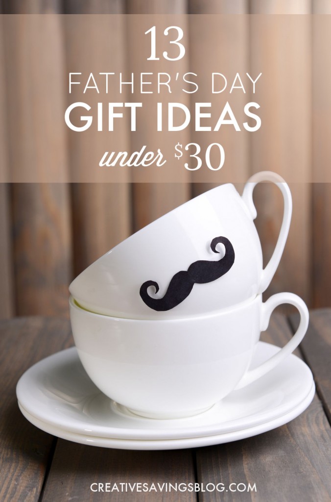 father's day gifts under $30