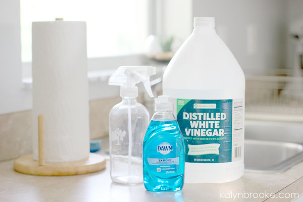 Bathtub Cleaner {Dawn and Vinegar SUCCESS} - This Simple Home