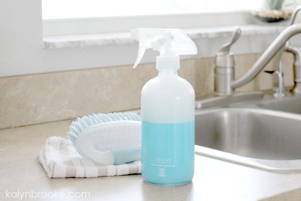 House Cleaning Schedule: Brush and All Purpose Cleaner