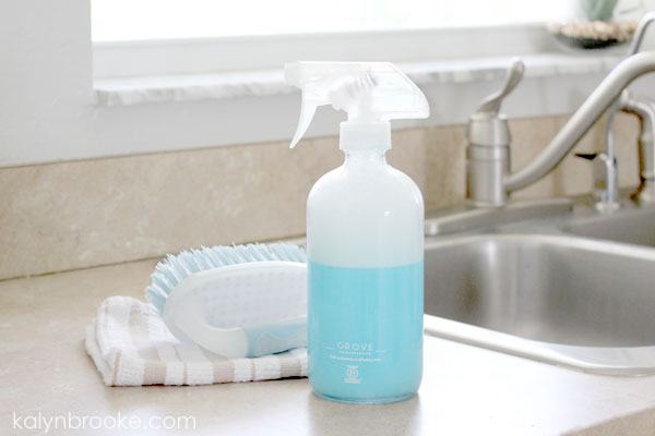 cleaner, rag, and scrub brush on a kitchen counter